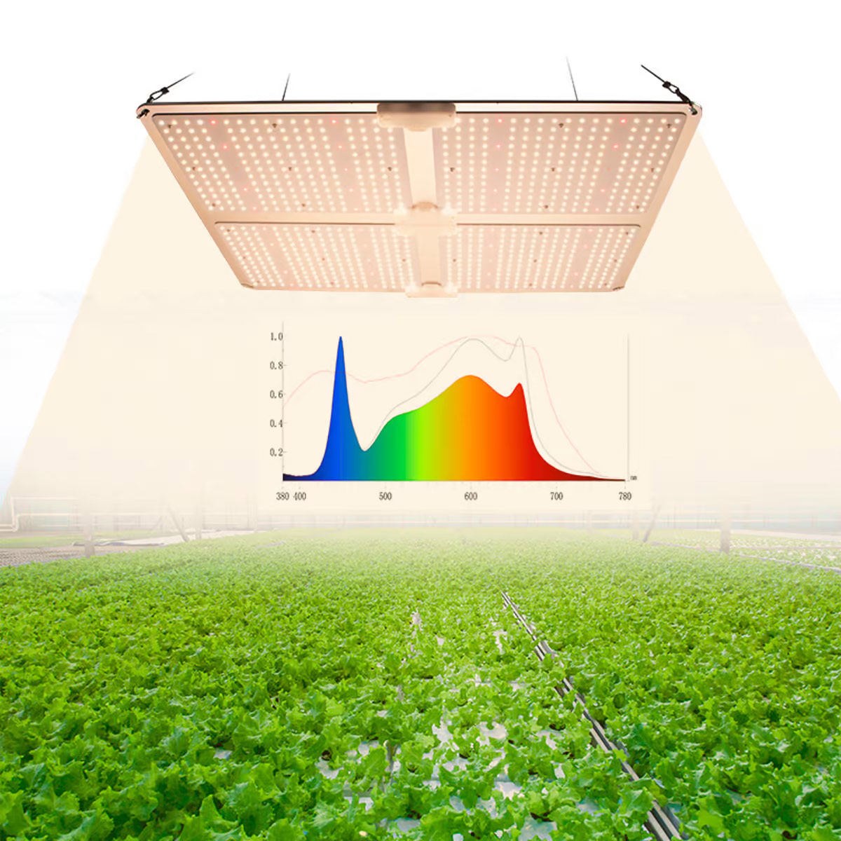 Blog om grolys og plantevækst 283 Canabis grolys lampe 440Watt