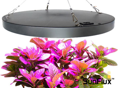 vækstlys lampe