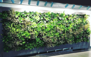 DIY plantevæg til hjemmet eller kontoret