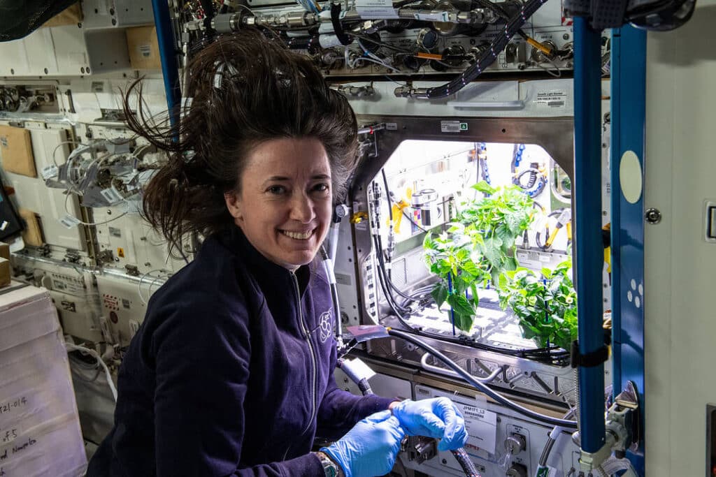 nasa hydroponic