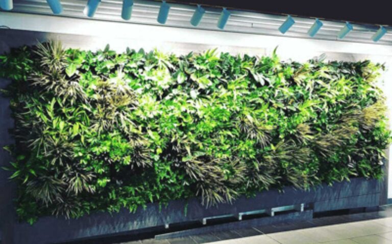 Plantevæg med grønne planter og grolys