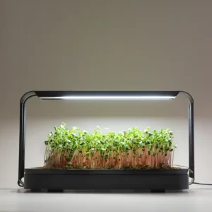 Microgreen Garden med mikrogrønt og vækstlys
