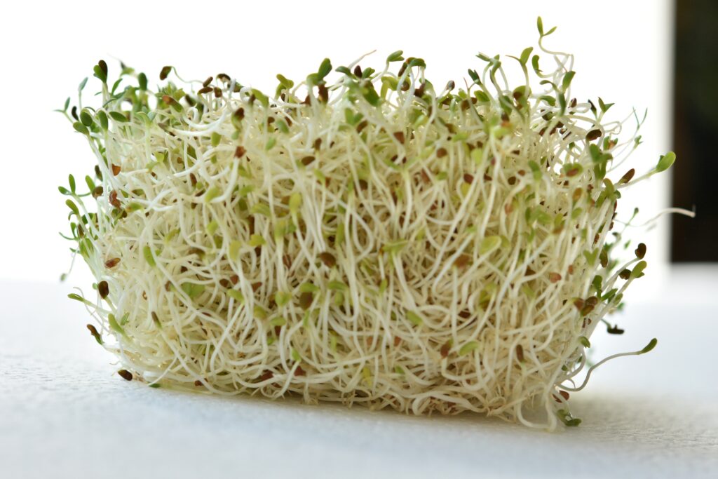 lucernespirer