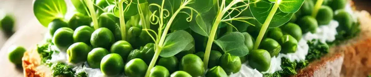 DALL·E 2025-03-21 11.11.18 - A close-up, high-quality image of a delicious open-faced sandwich topped with microgreens from pea shoots (ærtefrø). The sandwich is on rustic whole g